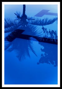 Image 1 of Blue. St. Croix, USVI. 2016
