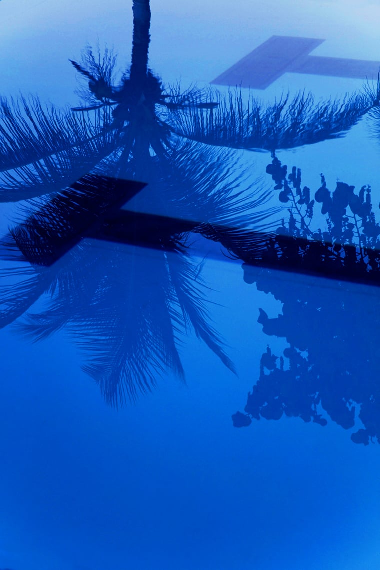 Image of Blue. St. Croix, USVI. 2016