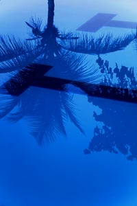 Image 2 of Blue. St. Croix, USVI. 2016