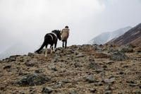 Image 2 of Into the Mountains. Mongolia. 2015
