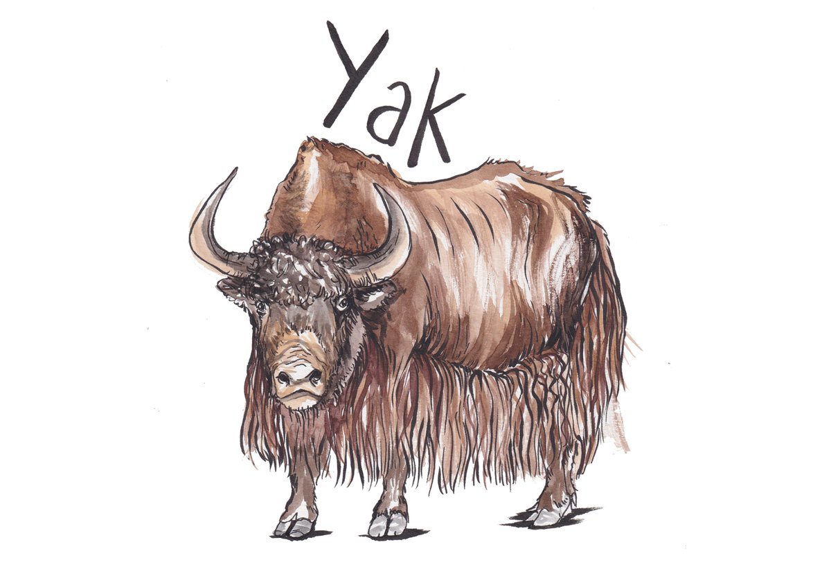 A-Z Extraordinary Animals 
