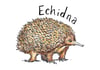 A-Z Extraordinary Animals 