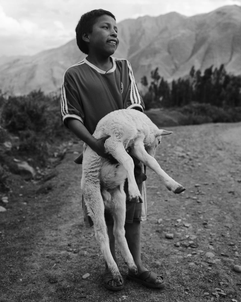 Image of Boy and his lamb. Sacred Valley, Peru.  2006