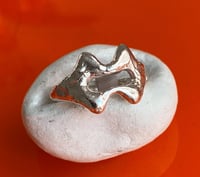 Image 2 of Fougue - Collection Passions