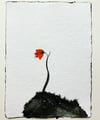 Flower on a Hill