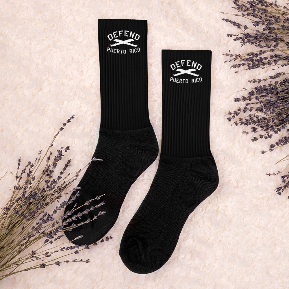 Image of DefendPR Socks