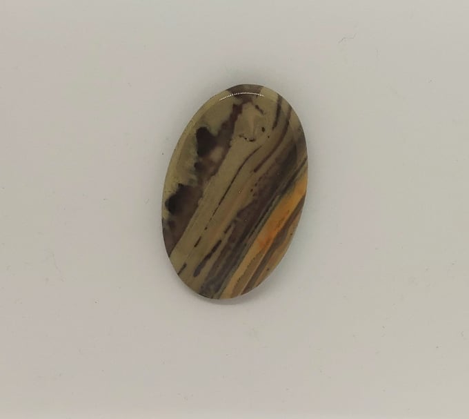 Image of Owyhee Jasper Magnetic Pin #20-313