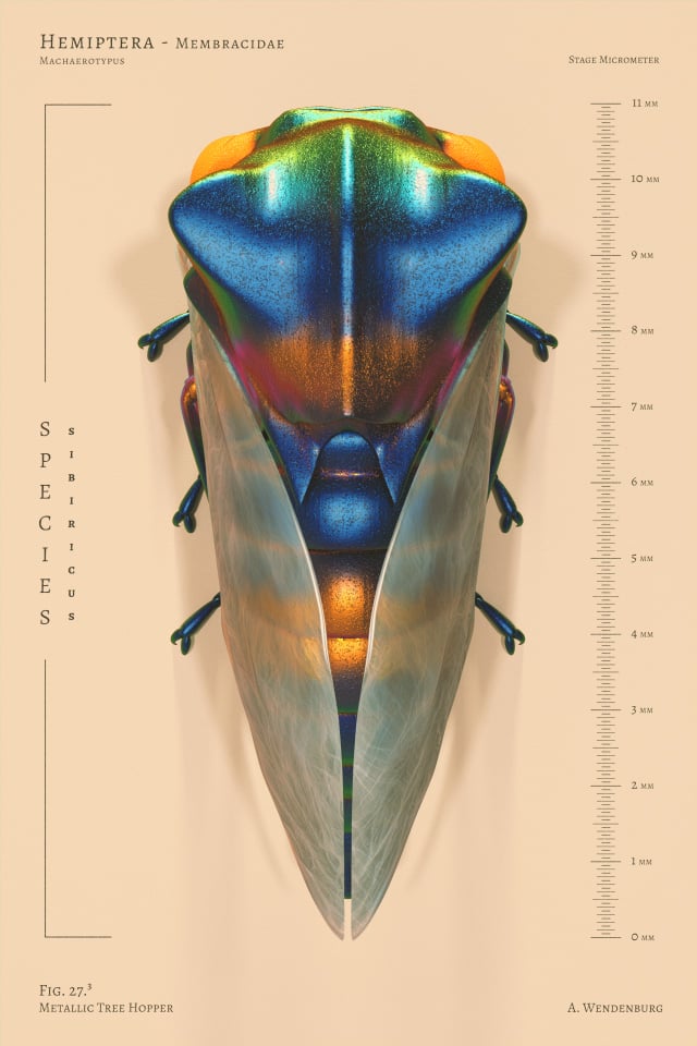 Image of Metallic Tree Hopper