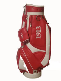 Image 3 of Delta Golf Bag