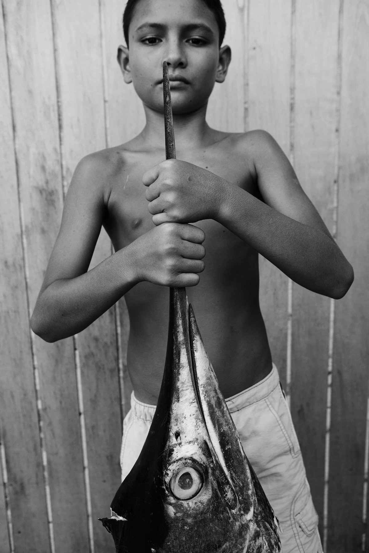 Image of Boy and Marlin.  French Polynesia. 2010