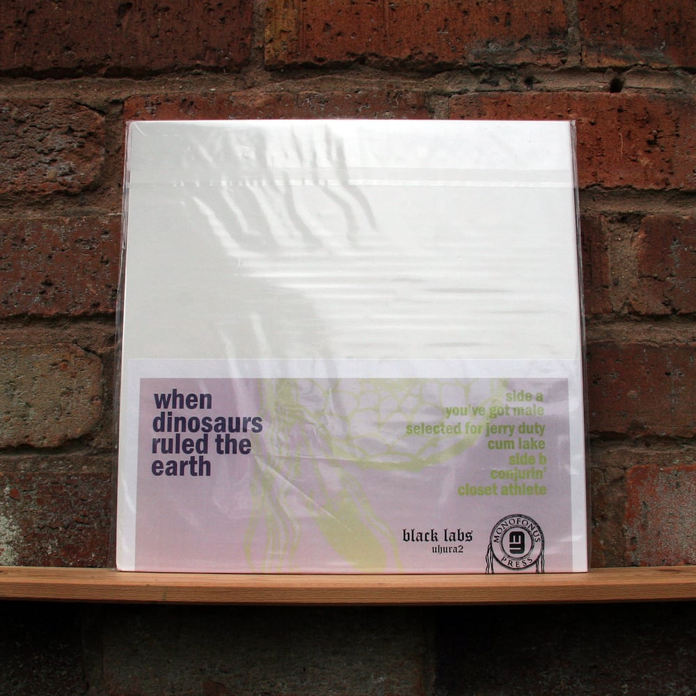 WHEN DINOSAURS RULED THE EARTH ' Peaced' Vinyl 12"