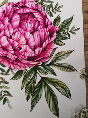 Image of Large peony print 