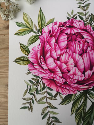 Image of Large peony print 