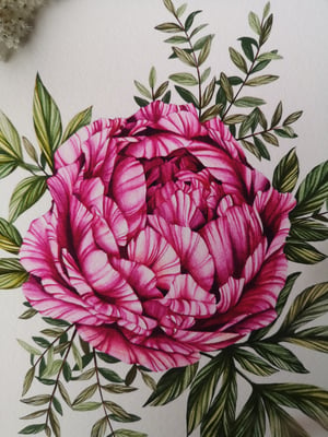 Image of Smol peony print 