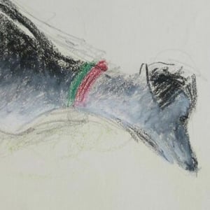 Image of Drawing of a Sleeping Dog, (1) Audrey Lanceman 