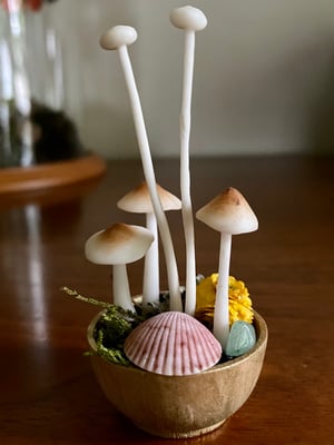 Image of Choose Your Snail Bowl - #5