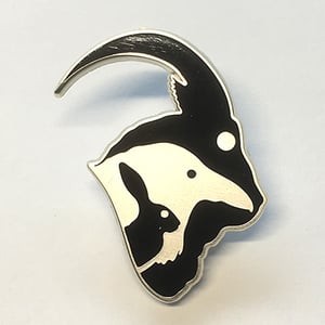 Image of THE VVITCH PIN