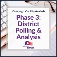 Campaign Viability - Phase 3: District Polling & Analysis