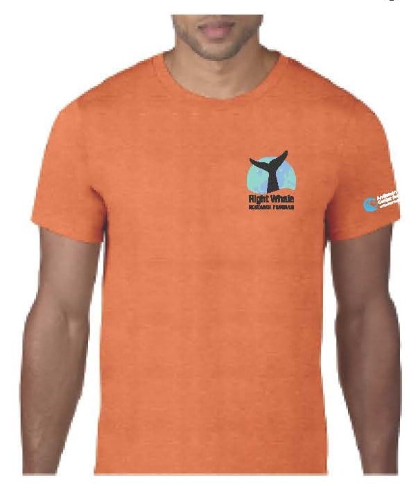Adult Lightweight T-Shirt
