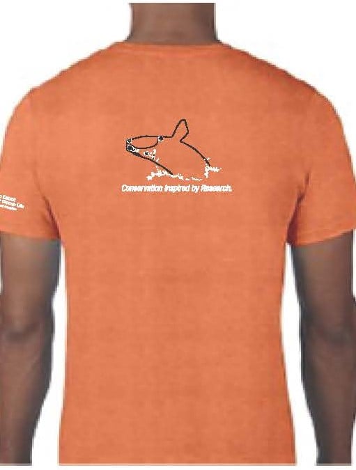 Adult Lightweight T-Shirt