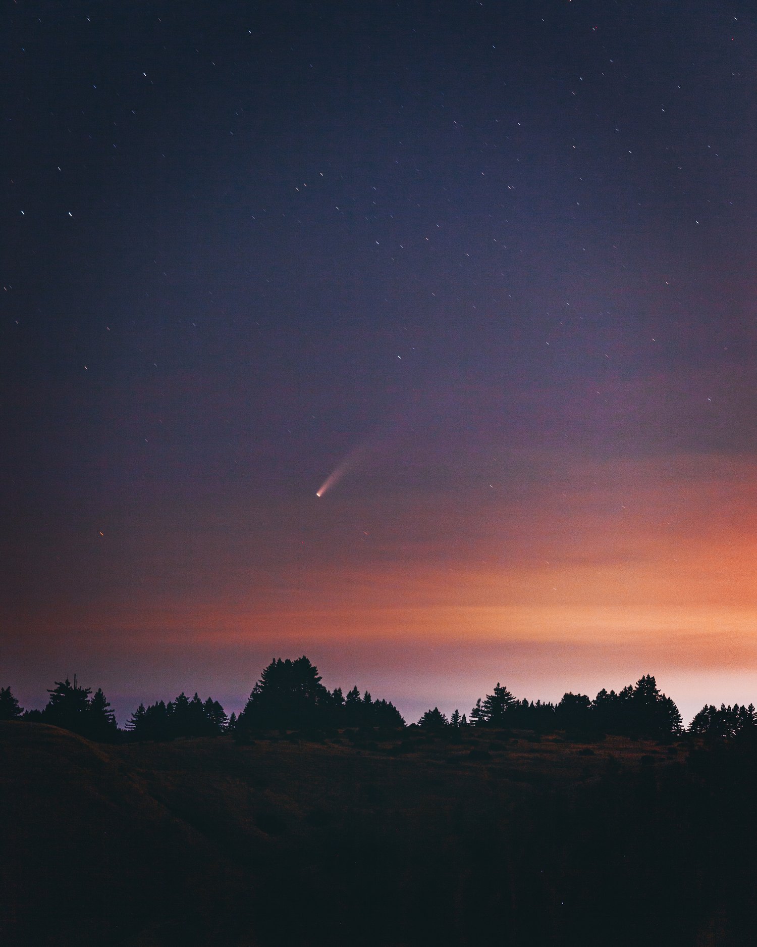 Image of Comet Neowise