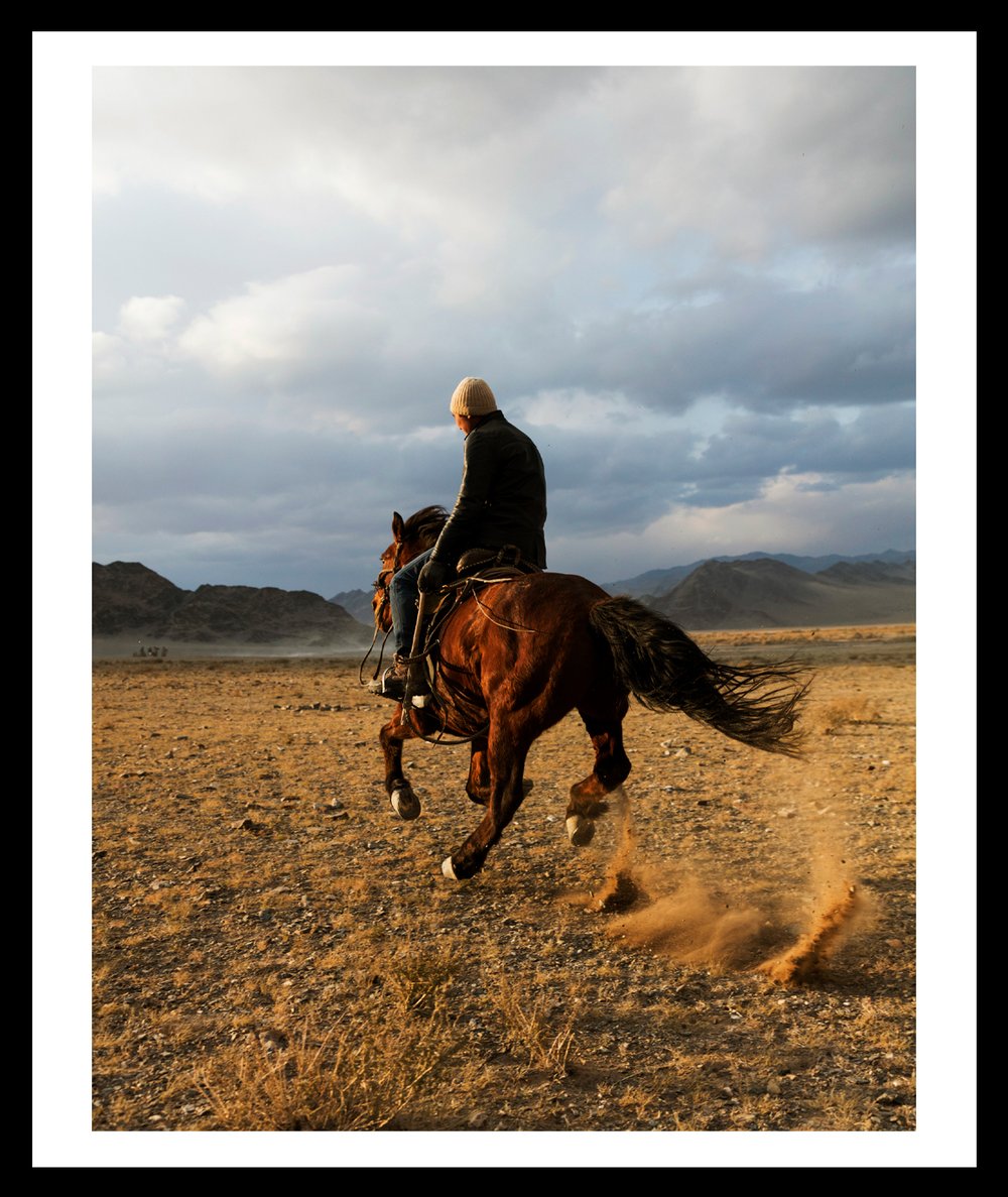 Image of Gallop. Mongolia. 2015