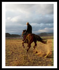 Image 1 of Gallop. Mongolia. 2015