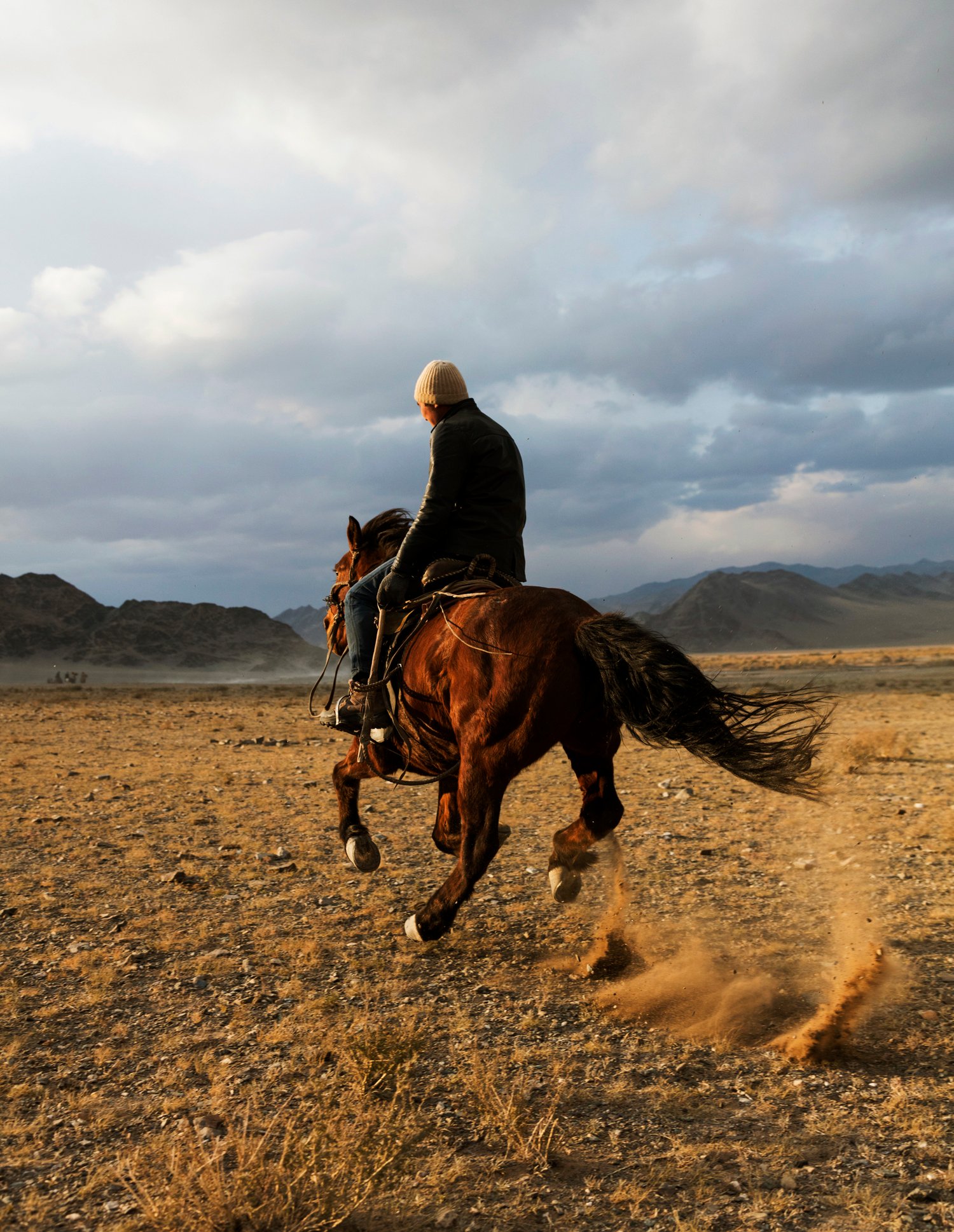 Image of Gallop. Mongolia. 2015