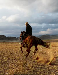 Image 2 of Gallop. Mongolia. 2015