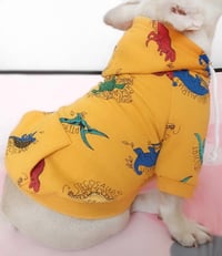 Dinosaur Doggie Hoodie