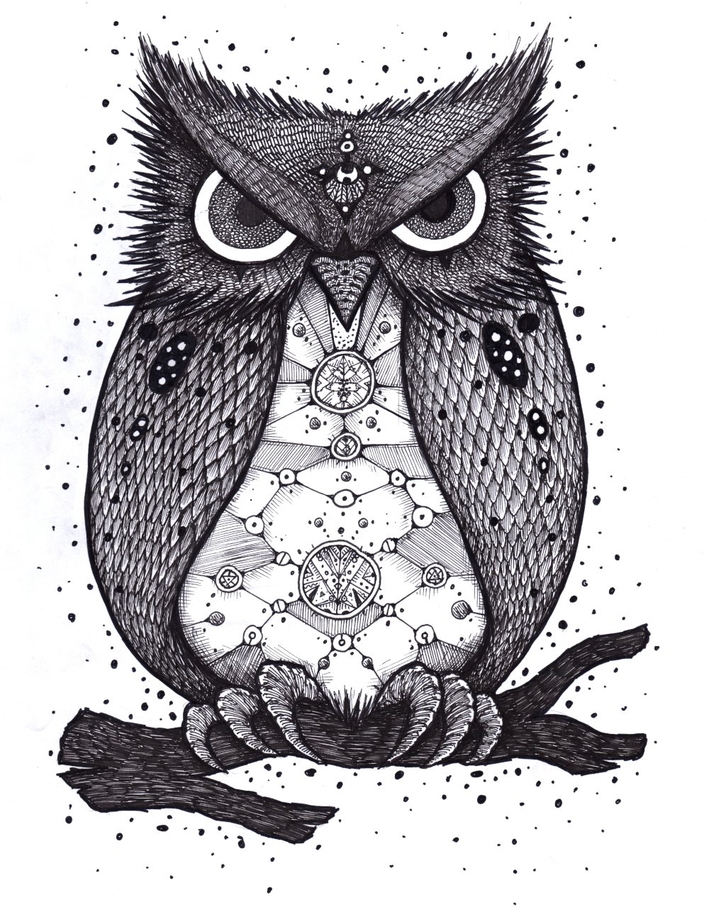 Image of Owl Shirt