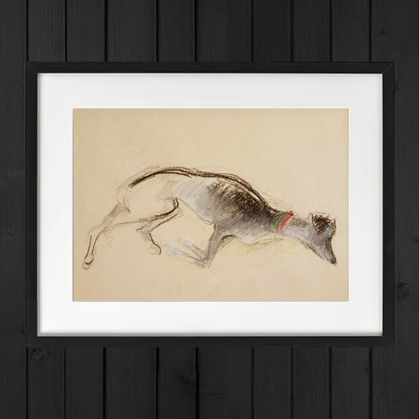 Image of Drawing of a Sleeping Dog, (1) Audrey Lanceman 