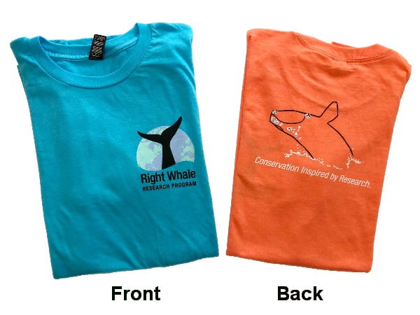 Adult Lightweight T-Shirt