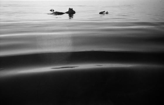 Image of From the series "Mares rotos" BW