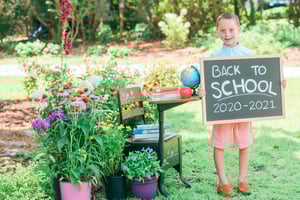 Image of BACK TO SCHOOL MINIS