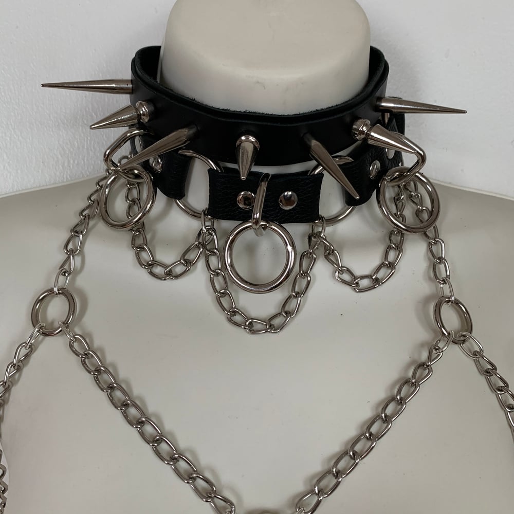 Image of Triage Collar