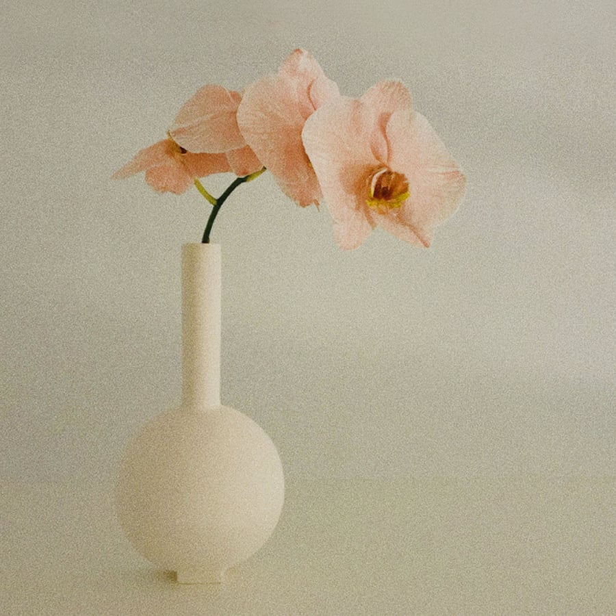 Image of Valeria Vasi Duo vase 