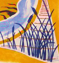 Image 2 of SUPERTIGRA