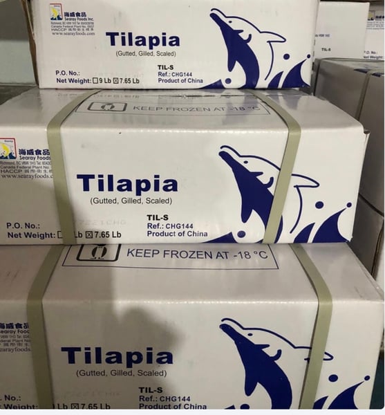 Image of Tilapia gutted 350-550 7.65 LB