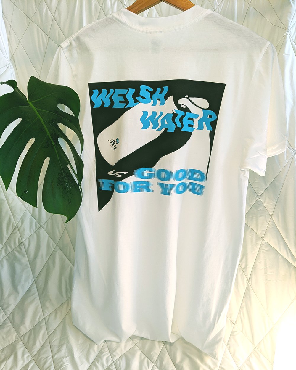 Image of WELSH WATER IS GOOD FOR YOU (Tee)