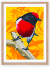 A4 Red Robin Print ON SALE!