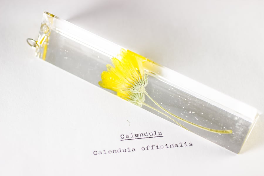 Image of Marigold (Calendula officinalis) - Suncatcher Prism