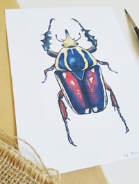 Image 4 of Mecynorrina Beetle Watercolor Illustration PRINT 