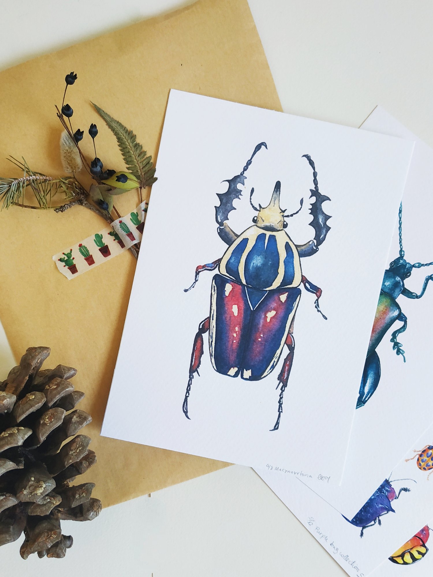Image of Mecynorrina Beetle Watercolor Illustration PRINT 