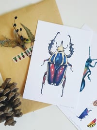 Image 5 of Mecynorrina Beetle Watercolor Illustration PRINT 