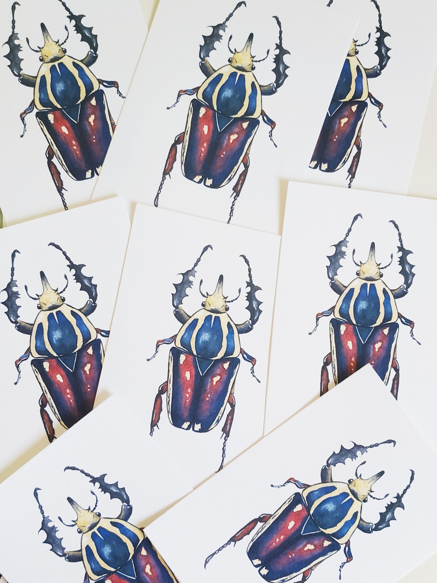 Image of Mecynorrina Beetle Watercolor Illustration PRINT 