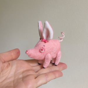 Image of Azalea the Tiny Piglet