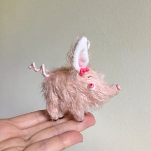 Image of Begonia the Tiny Piglet