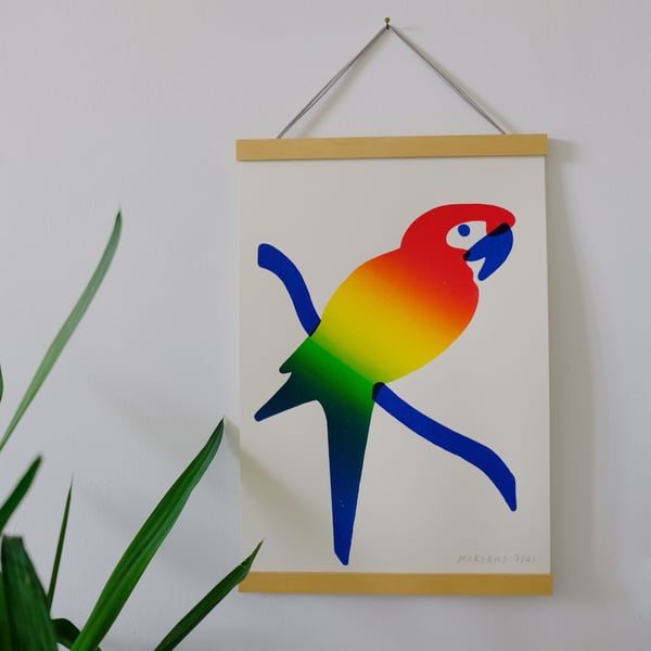 Image of Rainbow Parrot