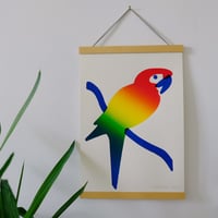Image 1 of Rainbow Parrot